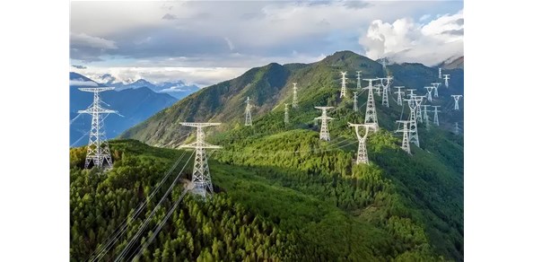 沿着总书记的足迹 | 中原大地添绿出彩